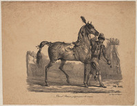 TvB G 6213
<br/>
Cheval Romain préparé pour la course
<br/>
<em>Delpech, François Séraphin (1778-1825)</em>